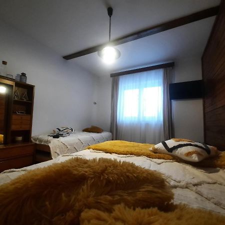 Cocooning In A Lovely Mountain Suite - One Azuga Εξωτερικό φωτογραφία