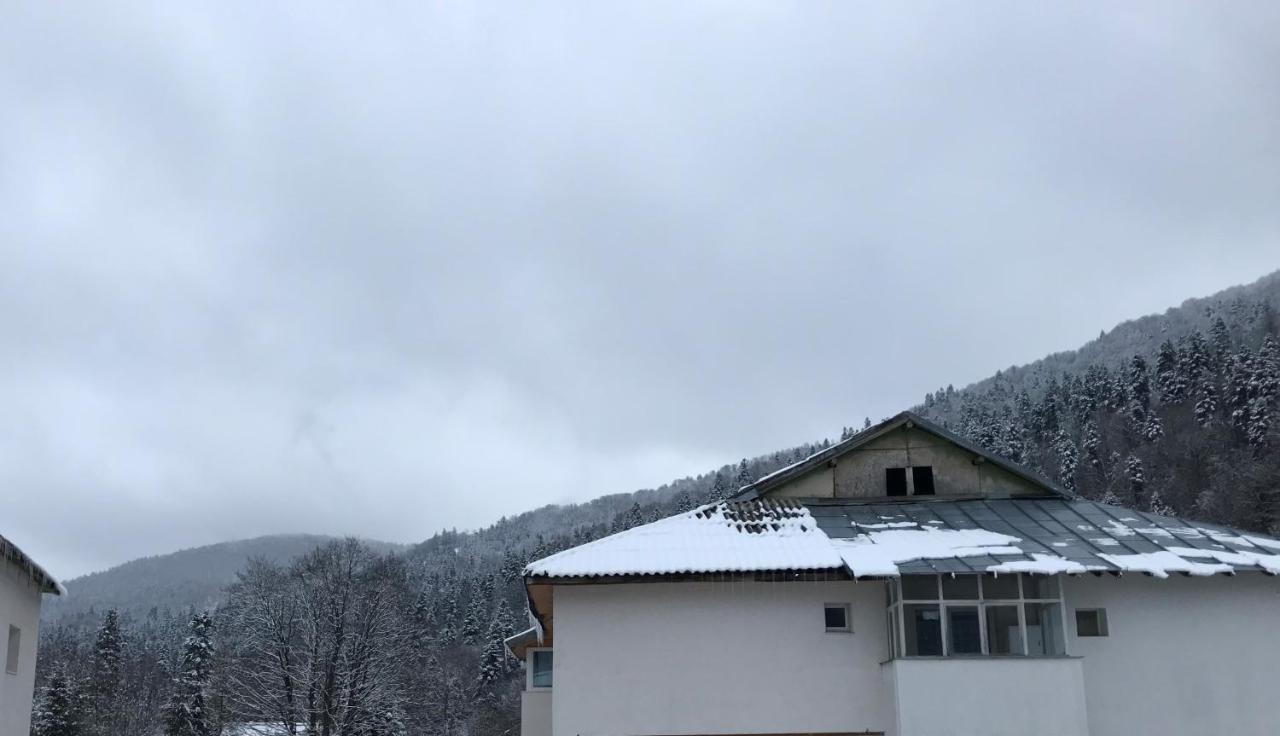 Cocooning In A Lovely Mountain Suite - One Azuga Εξωτερικό φωτογραφία