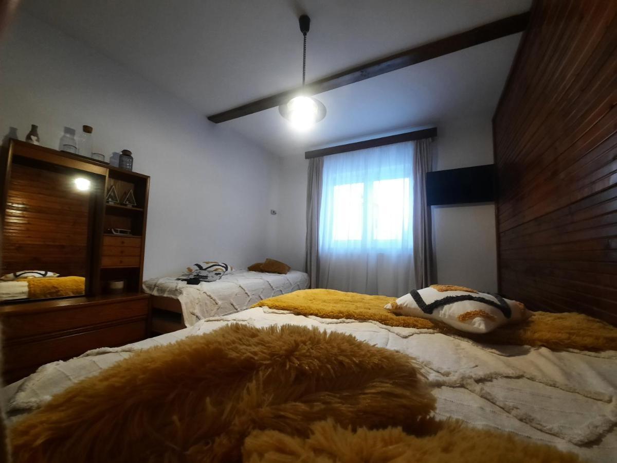 Cocooning In A Lovely Mountain Suite - One Azuga Εξωτερικό φωτογραφία